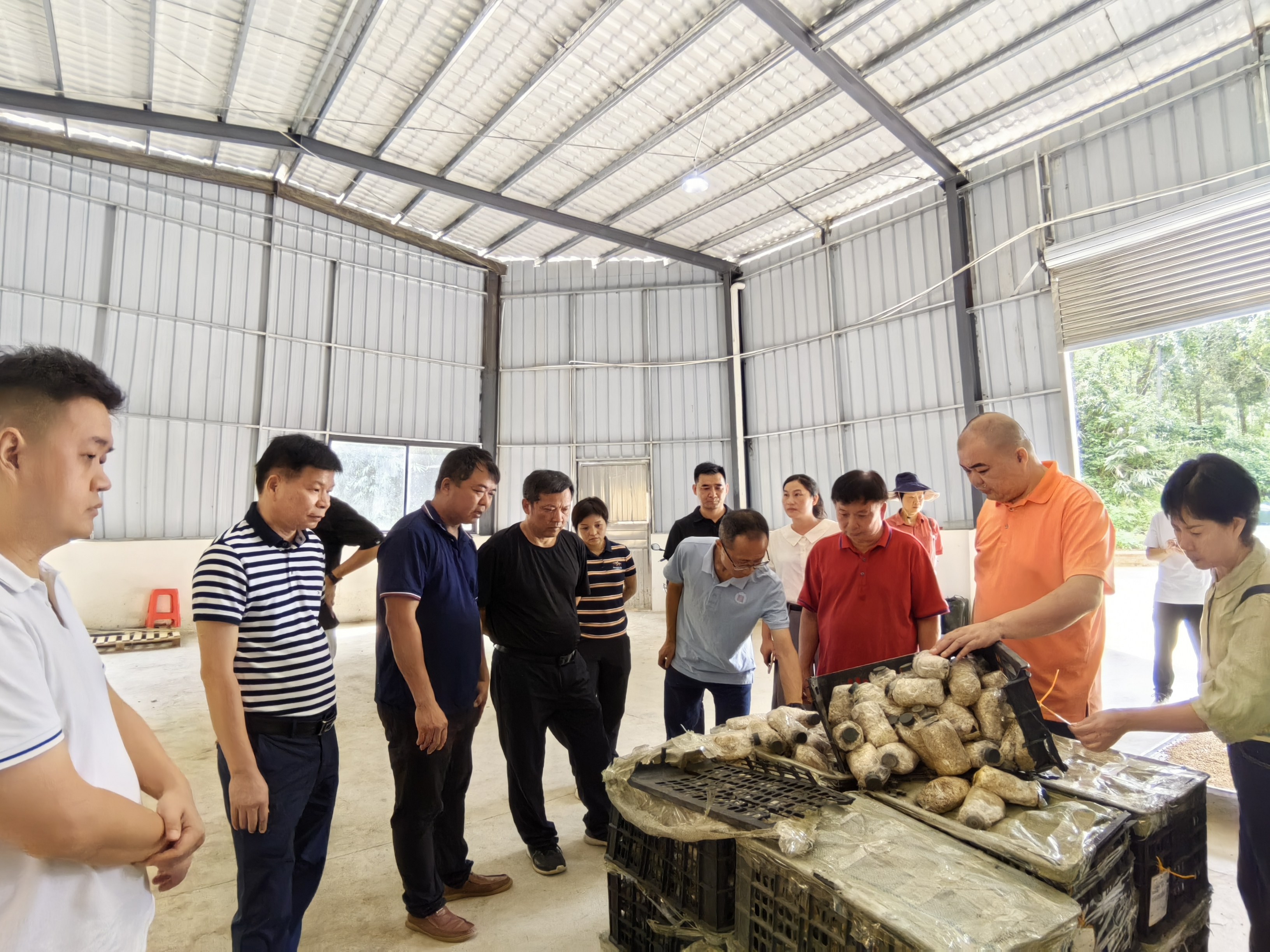 專家團(tuán)隊到油茶廠調(diào)研.jpg