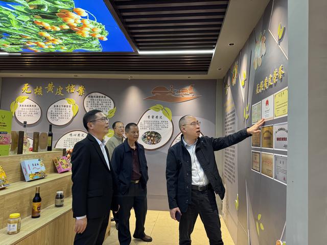 3.4云浮市市場監(jiān)督管理局蒞臨郁南縣開展知識產(chǎn)權(quán)調(diào)研工作照片1.jpg